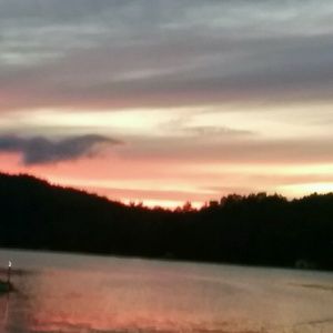 Meet your Posher, Ann